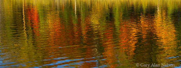 MN-09-221-NF Autumn colors reflecting in Burns Lake, Chippewa National Forest, Minnesota.