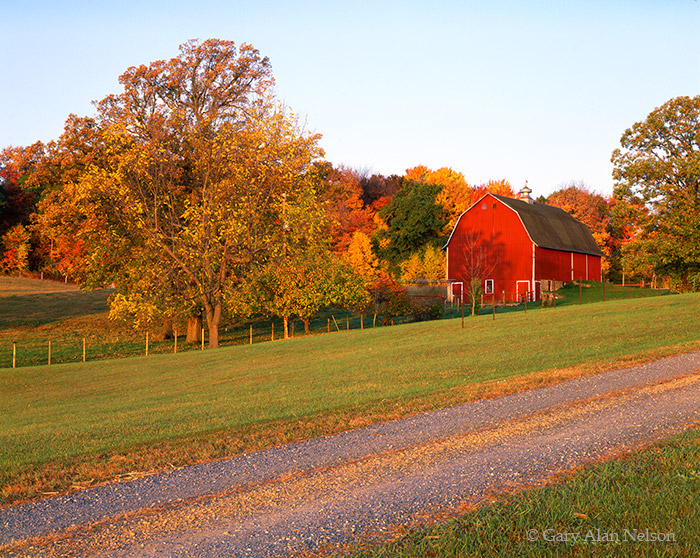 &nbsp;MN-92-83-FM Red rural barn and fall foliage in Washington County, St. Croix River Valley, Minnesota.