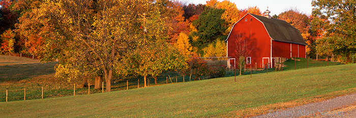 MN-92-83P-F Red rural barn and fall foliage in Washington County, St. Croix River Valley, Minnesota