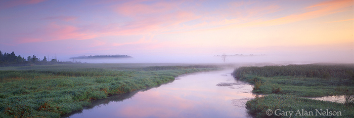 MN-93-105P-SC Early morning fog over the Sunrise River, Carlos Avery Wildlife area, Minnesota
