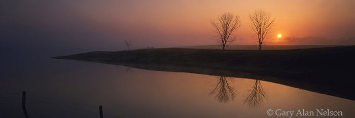MN-94-14P-RU Two trees and sunrise over prairie pothole, Minnesota