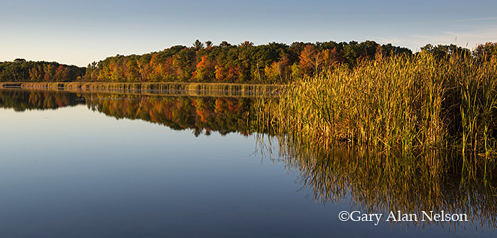 Calm evening reflections on Coon Lake, Anoka County, Minnesota