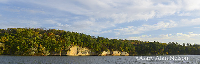 Chalk cliffs on the Cannon River, Minnesota