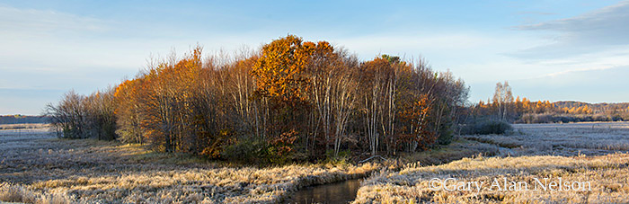 Creek flowing into Mudd Lake, Carlos Avery Wildlife Management Area, Minnesota
