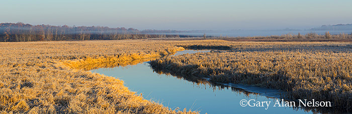 The Sunrise River in autumn, Carlos Avery Wildlife Management Area, Minnesota