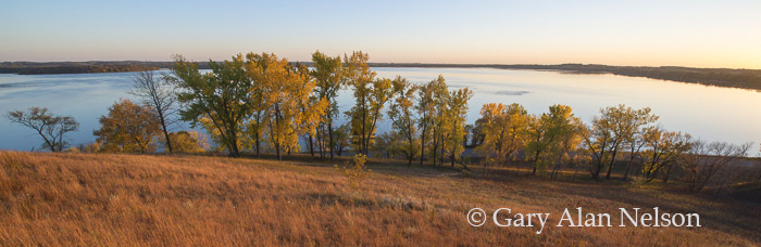 Prairie and trees on the shore of Lake Christina, Otter Tail County, Minnesota