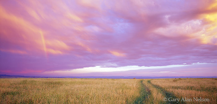 MT-95-1P-RU Pink thunderheads and green trail in rural Bighorn County, Montana