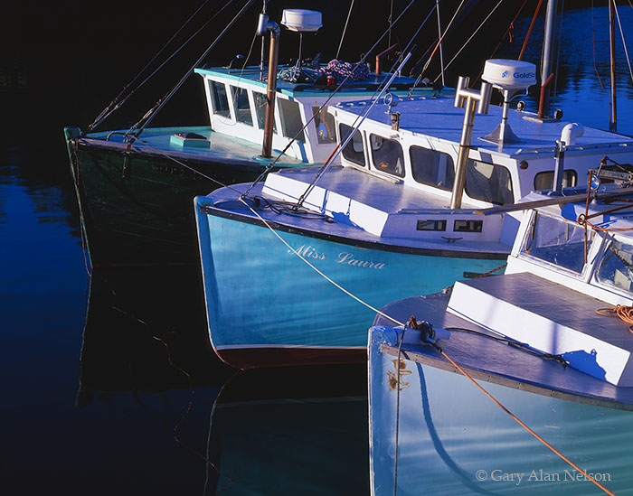 Fishing Boats in Mill Cove Campobello Island, New Brunswick, Canada