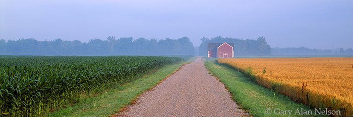 OH-92-11P-F BARN, WHEAT, CORN AND ROAD IN FOGGY MORNING, WILLIAMS COUNTY, OHIO