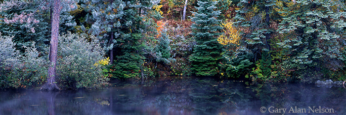 ON-96-2P-SC HOAR FROST IN AUTUMN ON THE SPANISH RIVER, ONTARIO, CANADA