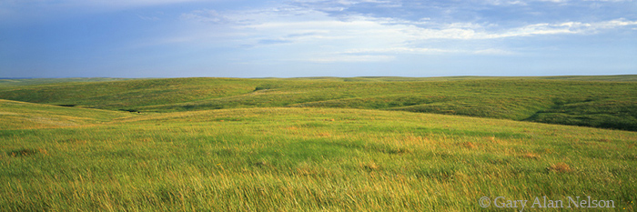 SD-01-11P-NG Rolling hills and prairie grasses, Ft. Pierre National Grassland, South Dakota