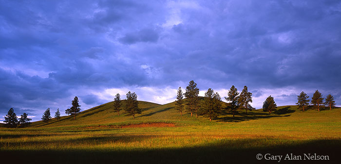 SD-05-13P-NP Hills and clouds and trees, Custer State Park, Black Hills, South Dakota