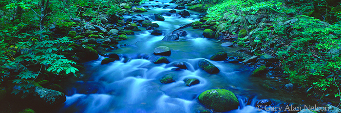 TN-96-13P-NP THE ROARING FORK RIVER, GREAT SMOKY MOUNTAINS NATIONAL PARK, TENNESSEE