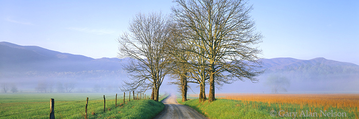 TN-96-5P--NP DAYBREAK OVER HYATT LANE IN CADES COVE, GREAT SMOKY MOUNTAINS NATIONAL PARK, TENNESSEE