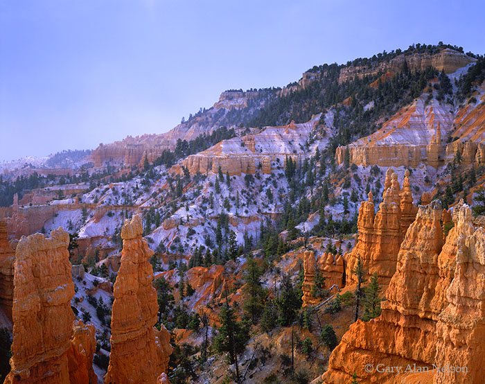 UT-02-7-NP Fresh snow covering canyon under Fairland Point, Bryce Canyon National Park, Utah