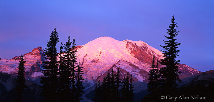 WA-01-1P-NP The blush of dawn lighting up Mt. Rainier, Mt. Rainier National Park, Washington