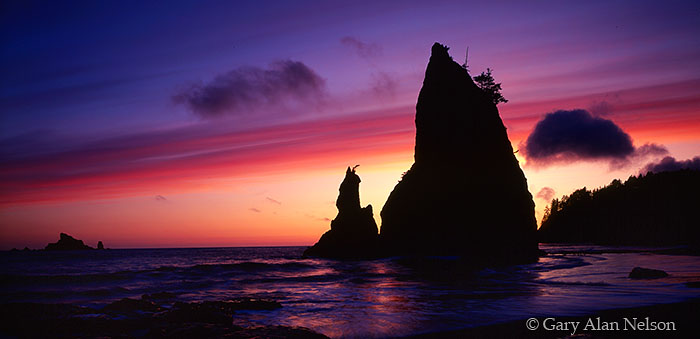 WA-95-19P-NP Crimson sunset on Pacific Coast, Olympic National Park, Washington