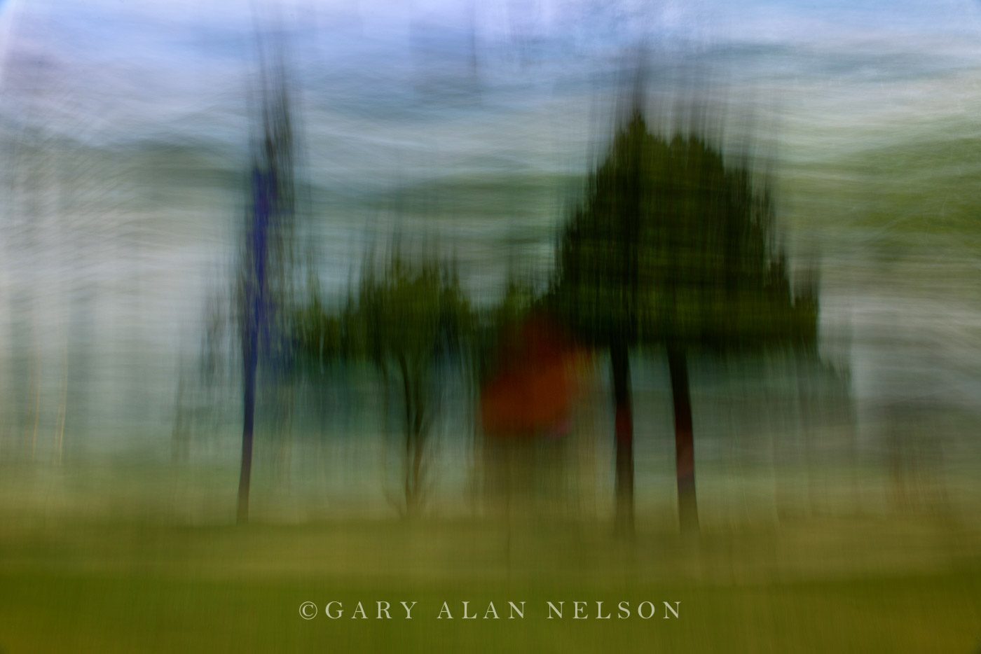 Five Trees in a Breeze - AC261
