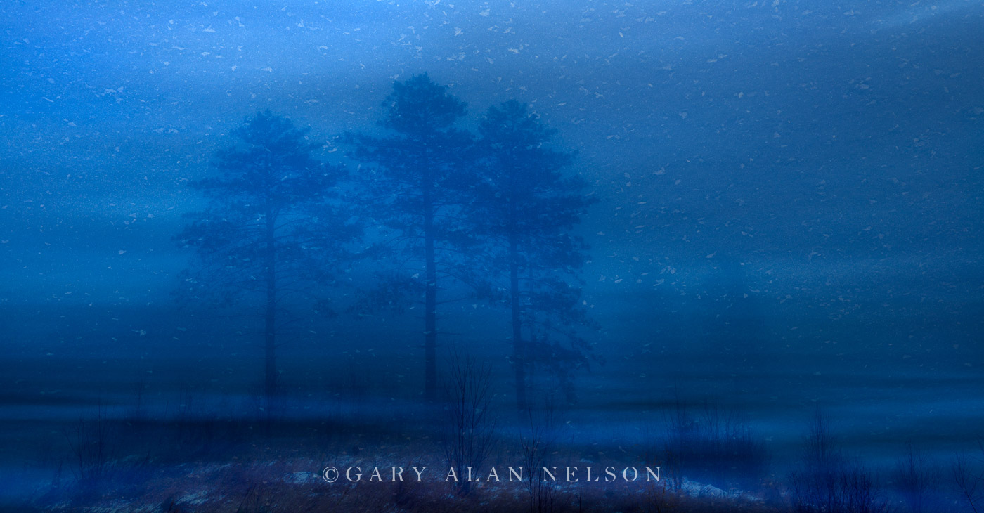 Darkness at the Edge of Dawn - AC327