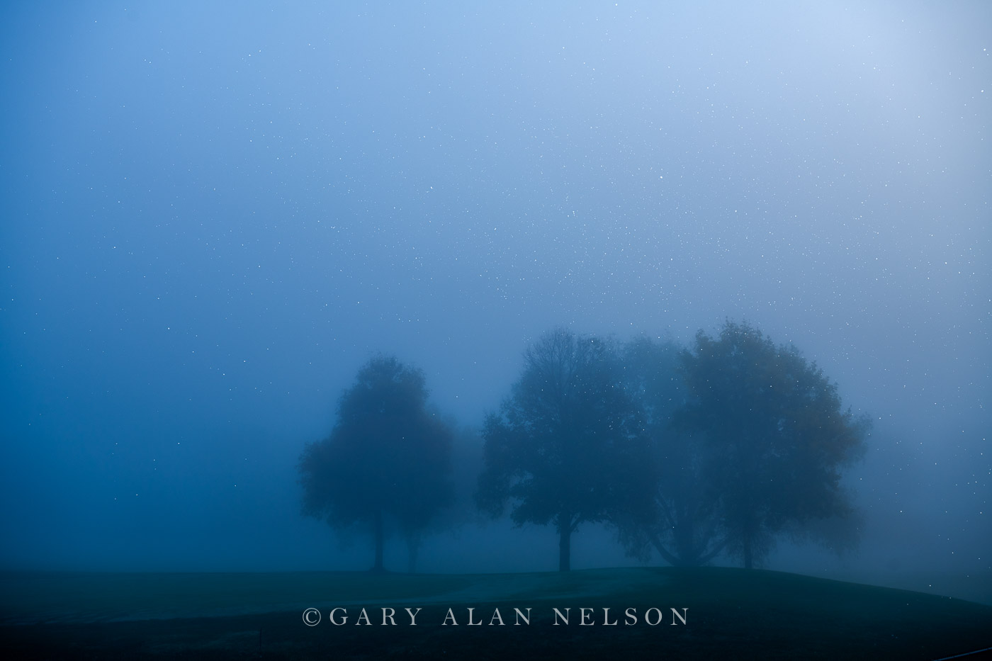 Crowded Knoll Shrouded by Fog