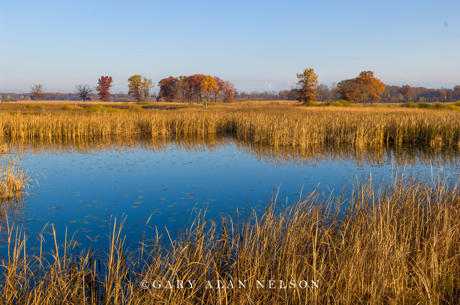 Clouds over Carlos Avery Wildlife Management  Area, Minnesota