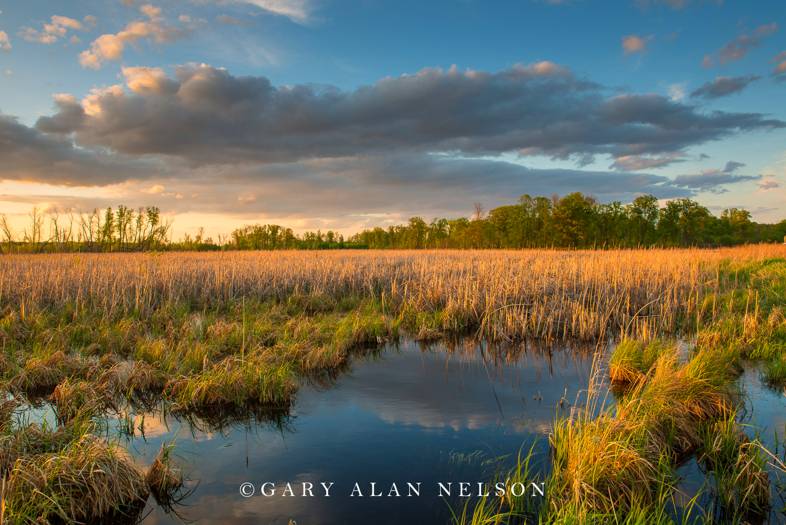 Clouds over Carlos Avery Wildlife Management  Area, Minnesota
