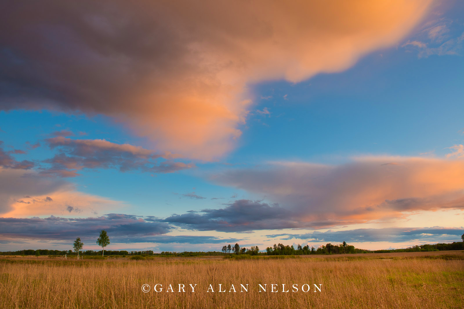 Prairie and clouds over Carlos Avery Wildlife Management  Area, Minnesota