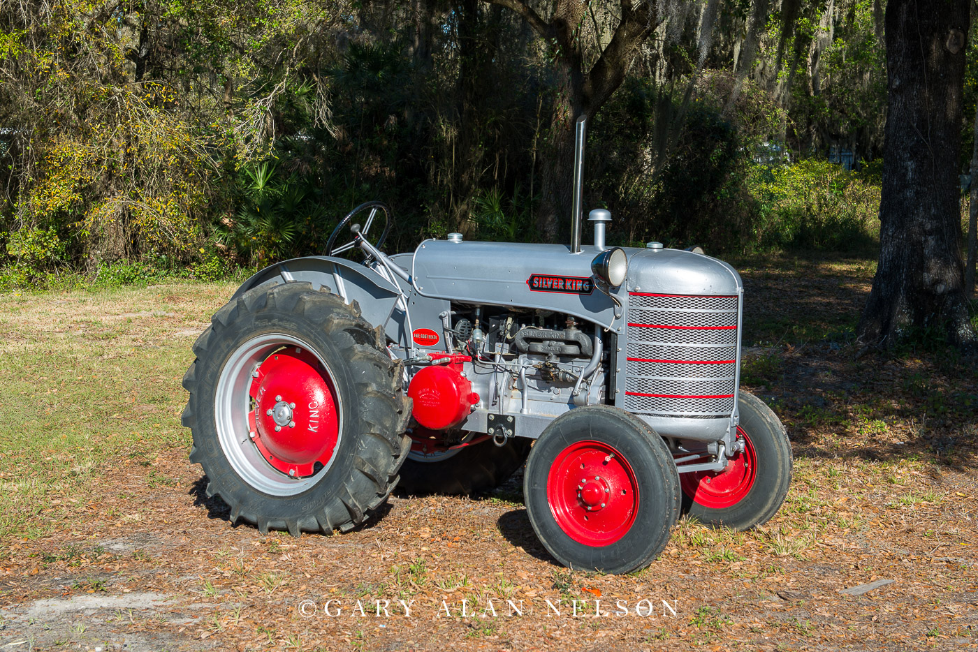 1945 Silver King 42