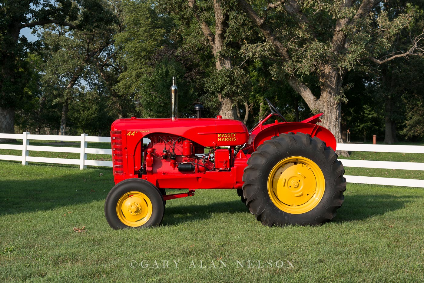 1950 Massey-Harris 44 Vineyard