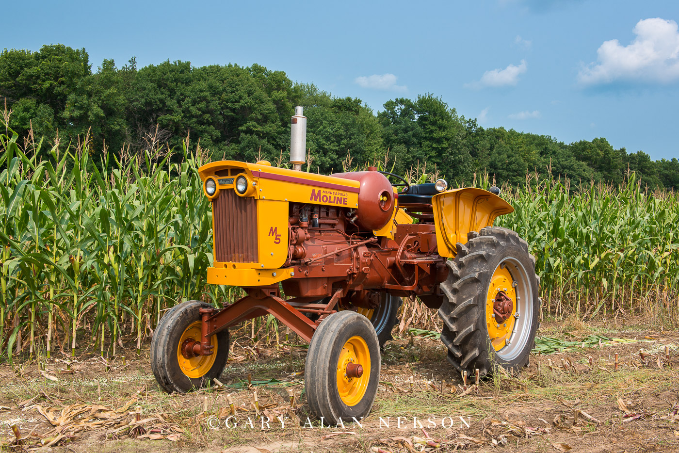 1960  Minneapolis-Moline M5 High Crop