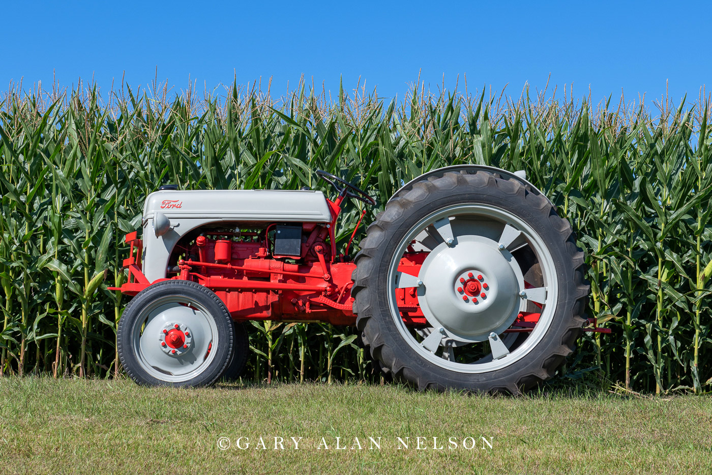 1949 Ford 8N Hi-Crop