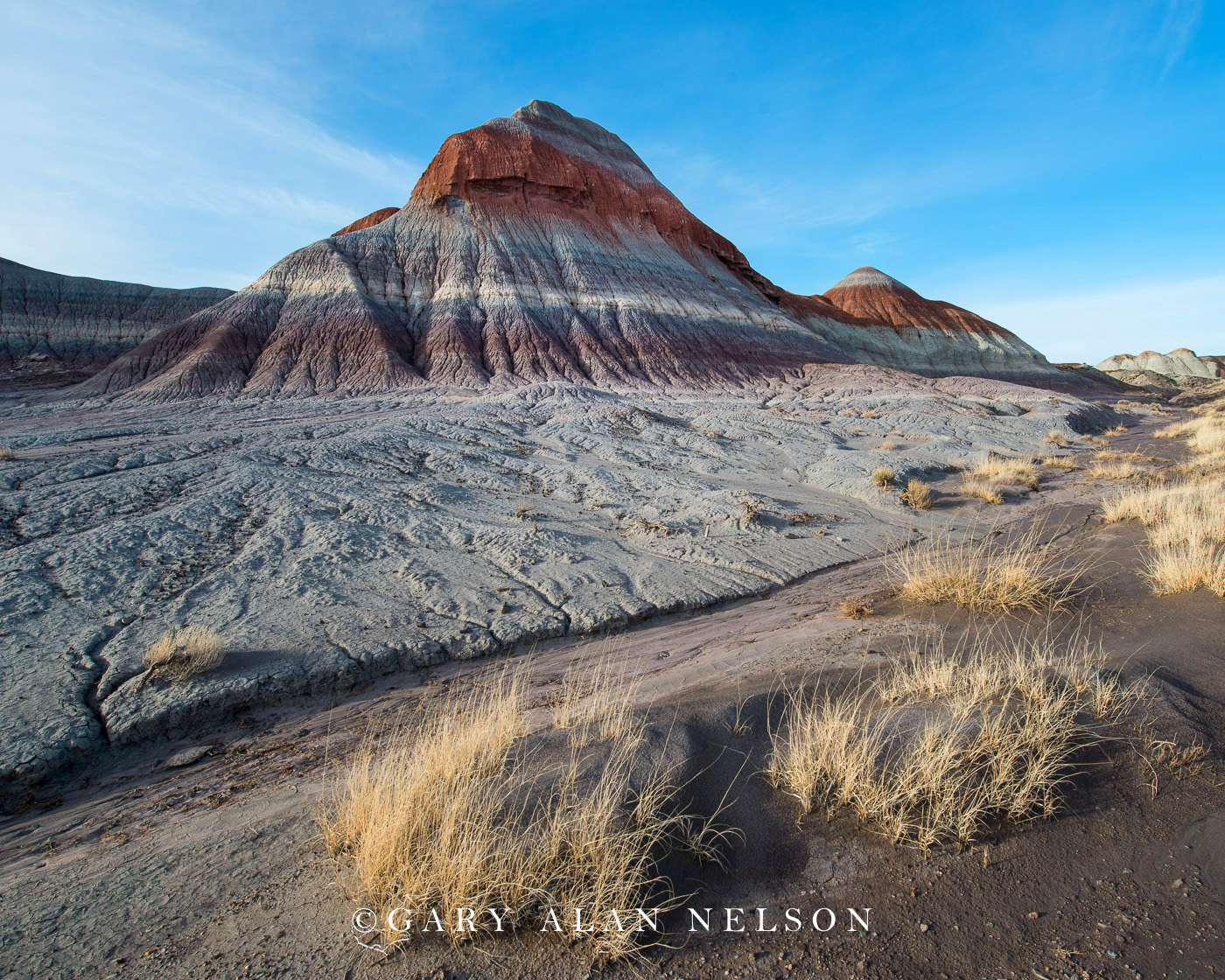 Badland formations and prairie grasses at Petrified Forest National Park, Arizona