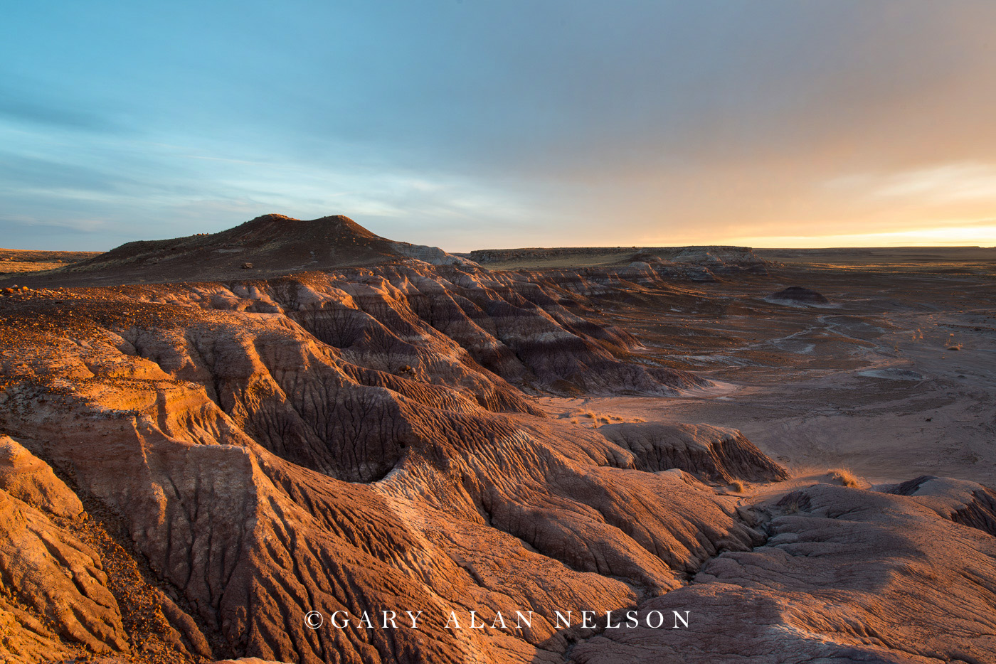 Badlands at dusk, Petrified Forest National Park, Arizona