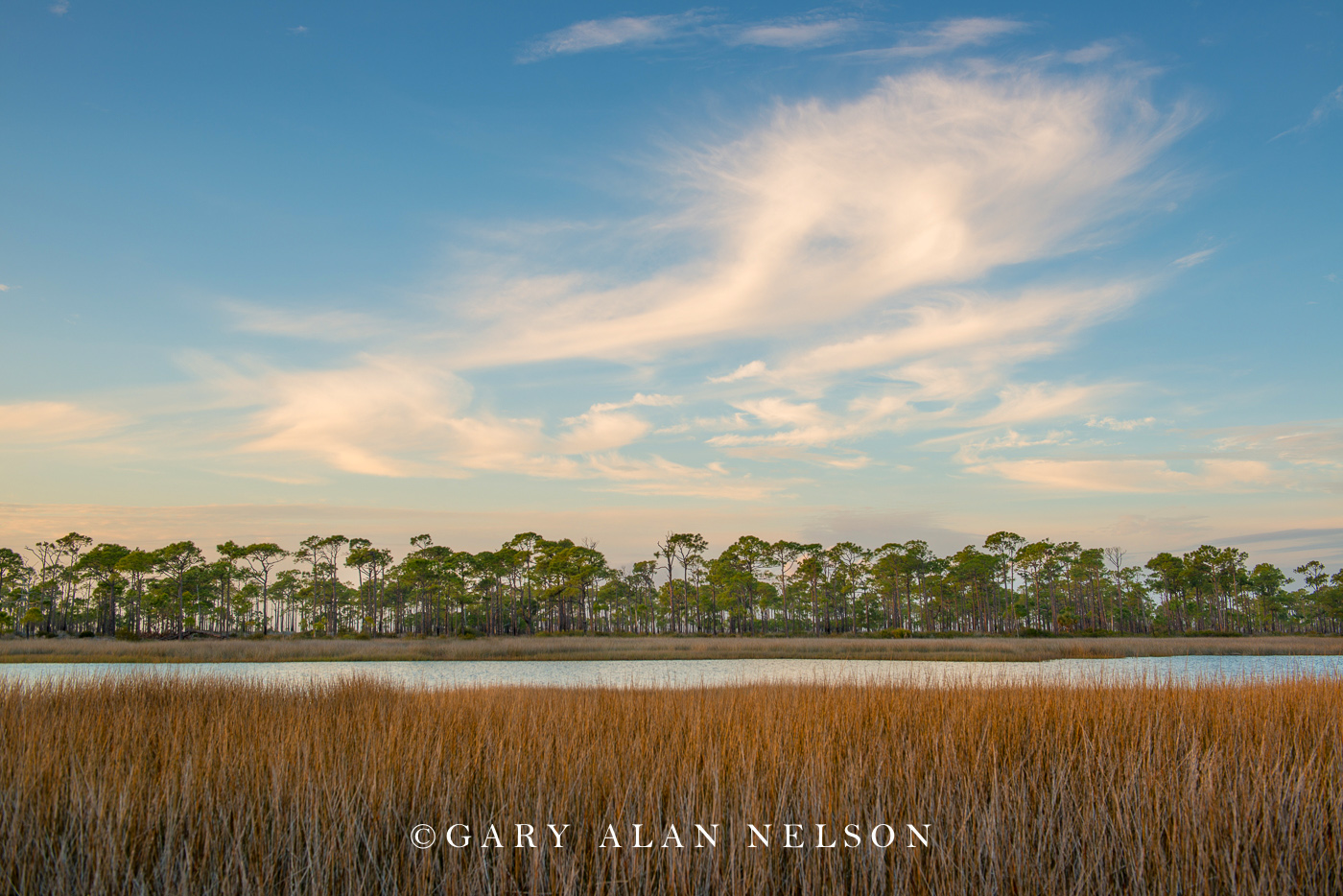 FL-15-144-SP Sawgrass, clouds and long needle pine trees, Gulf of Mexico Coast, St. George Island State Park, Florida