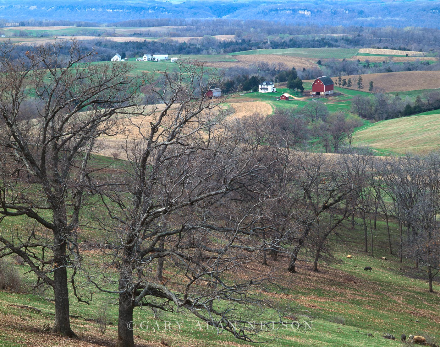IA-93-8-FM Farm in the MIssissippi River Valley, Clayton County, Iowa