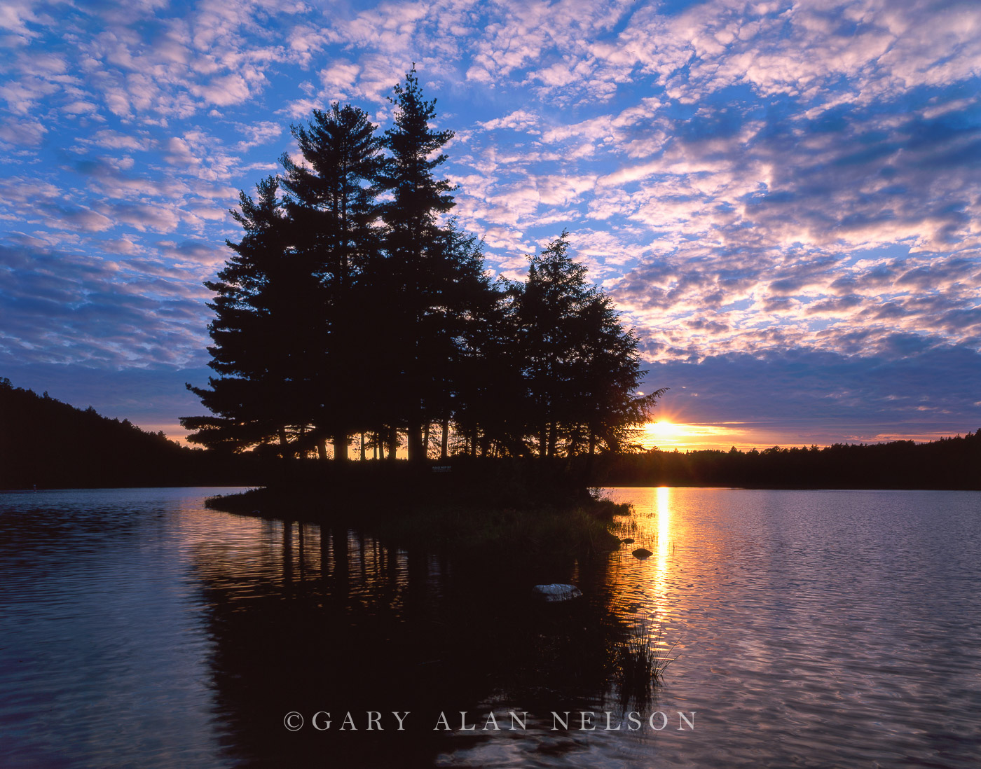 Island on imp lake ottawa national forest michigan gary alan