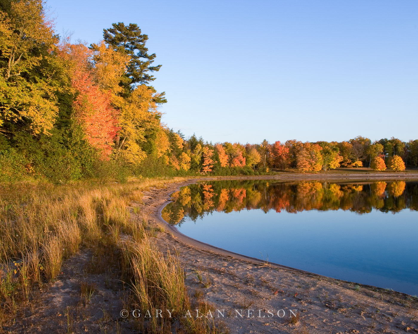 MI-11-101-WA Autumn colors along Clark Lake, Sylvania Wilderness Area, Ottawa National Forest, Michigan