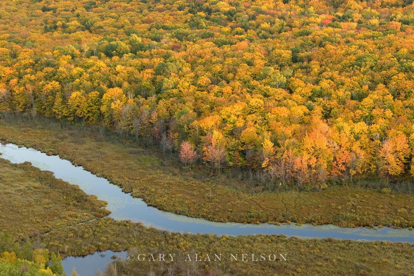 MI-11-52-SP The Carp River flowing through Porcupine Mountains Wilderness State Park, Upper Peninsula, Michigan