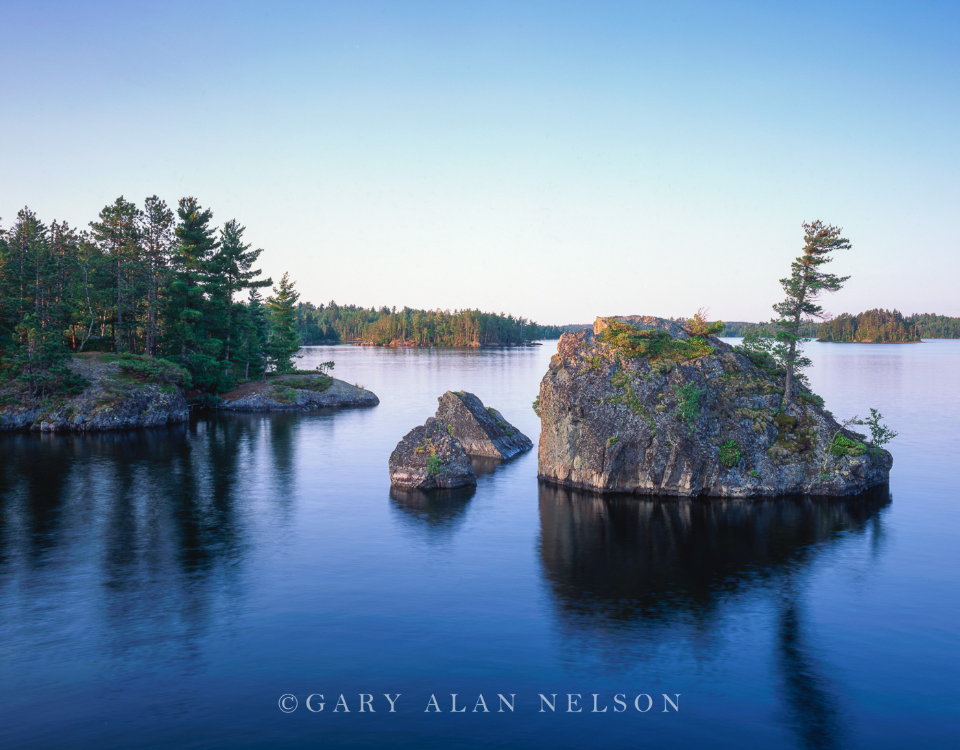Trees growing out of "sea stacks" on Burntside Lake, Superior National Forest, Minnesota