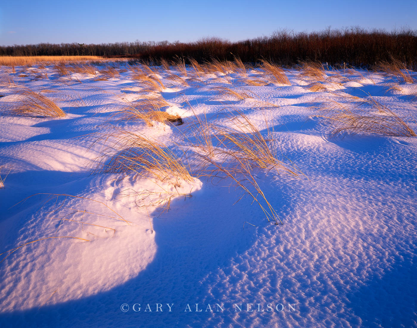 MN-04-122-NWR Indian grass and mounds of textured snow on a prairie, Rice Lake National Wildlife Refuge, Minnesota