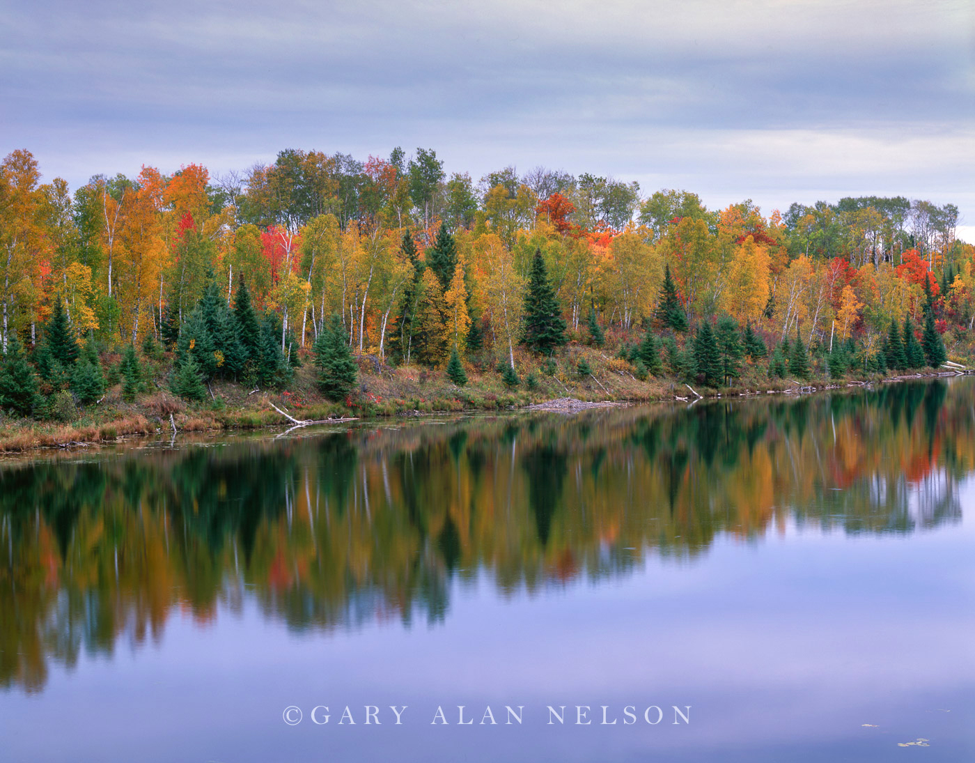 Autumn in the Chippewa National Forest, Minnesota