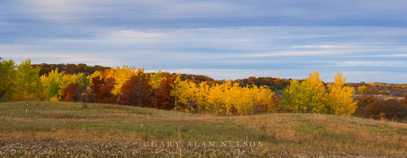 Autumn on the prairie, William O'Brien State Park, St. Croix River Valley, Minnesota