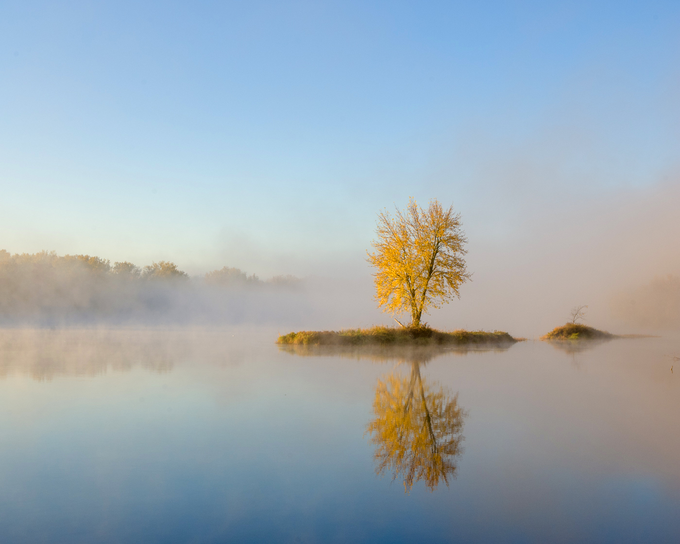 Lone tree in fog along the St. Croix National Scenic River, Interstate State Park, Minnesota/Wisconsin