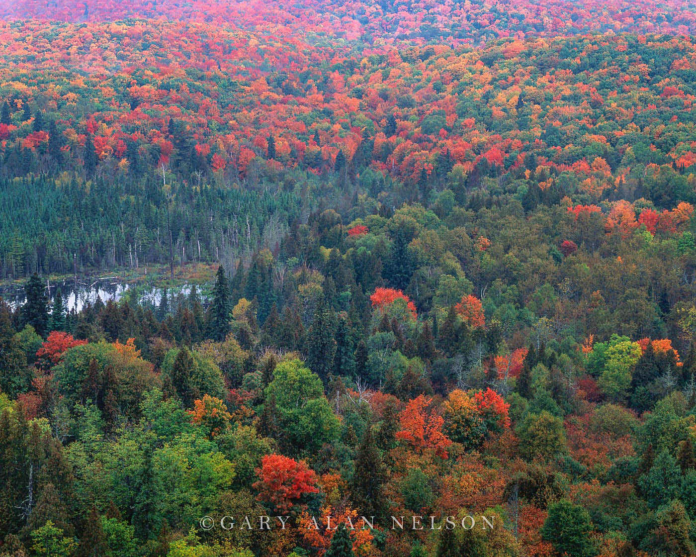 MN-12-21-SC The Sawtooth Mountains from Oberg Peak, Superior National Forest, Minnesota