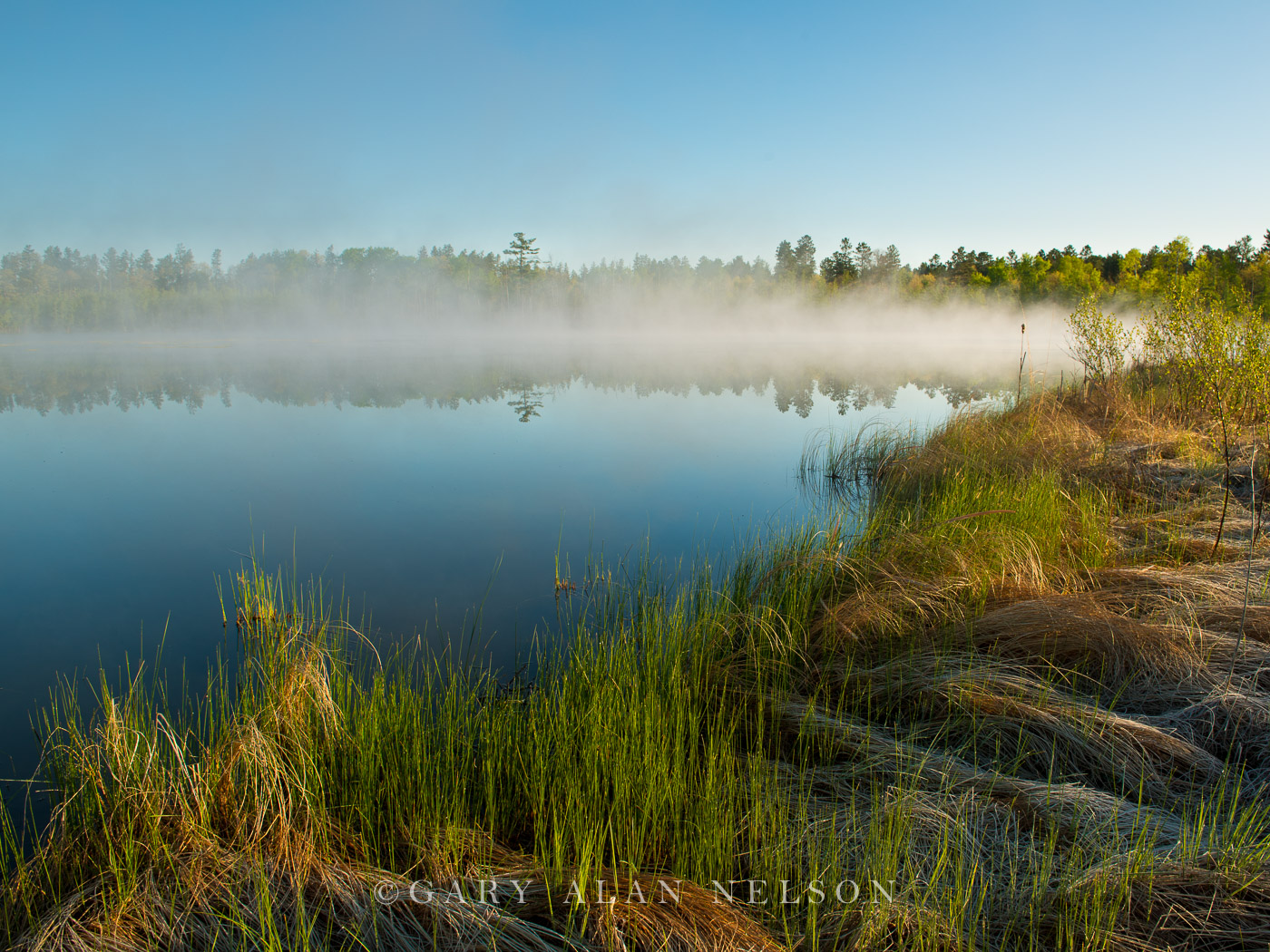MN-12-8-SC Fog over pond, Cass County, Minnesota