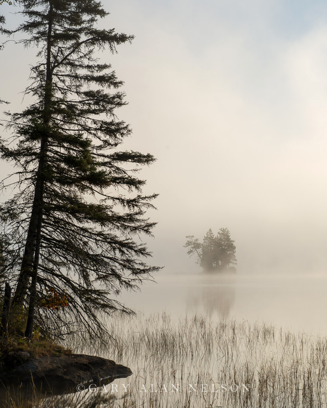Island in fog, at dawn, Superior National Forest, Minesota