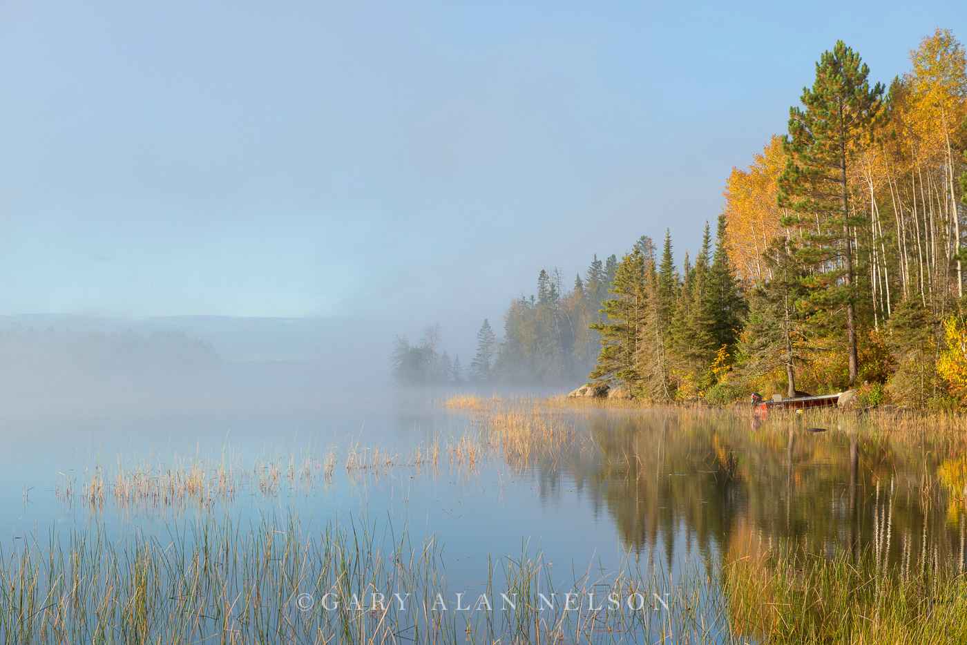 Fog and autumn, Superior National Forest, Minnesota