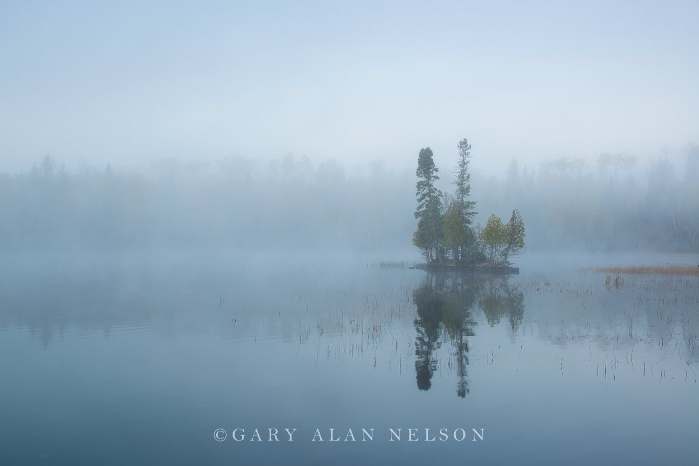 Island and fog at dawn, Superior National Forest, Minnesota