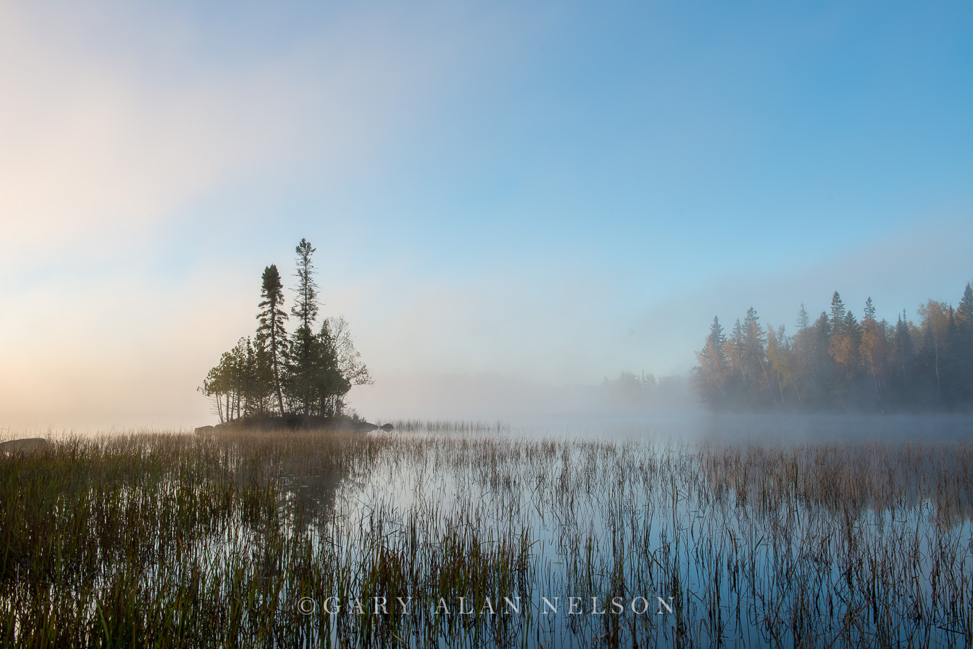 Fog and rushes at dawn,  Superior National Forest, Minnesota