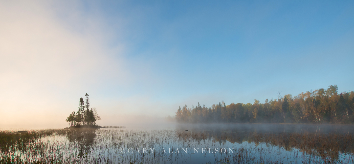 Fog and rushes at dawn, Superior National Forest, Minnesota&nbsp;